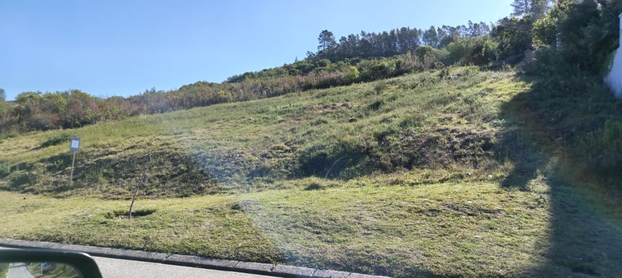 0 Bedroom Property for Sale in Green Pastures Western Cape